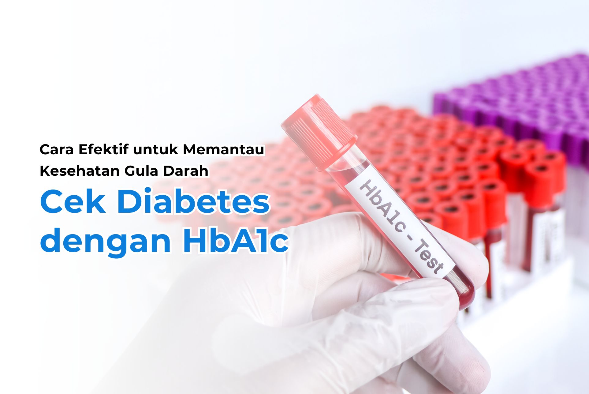 Cek Diabetes dengan HbA20c  Cara Efektif untuk Memantau Kesehatan ...