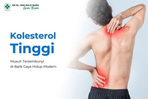 cvedukasikolesteroltinggi