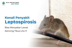 cvedukasileptospirosis